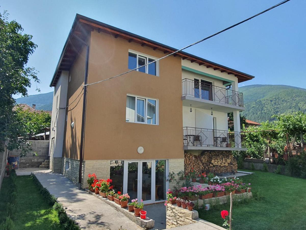 Дамяновата Къща Sapareva Banya Exterior foto